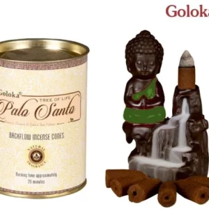 Goloka Backflow Cones - Palo Santo Backflow Incense 24 Cones