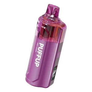 Vapgo PUFFUP vilso NIX 25K Disposable Vape (5%, 25000 Puffs) - Watermelon B-pop