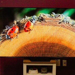 The best 85-inch TVs in 2026: Expert recommended