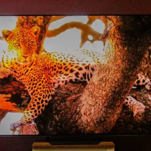 The best Hisense TVs of 2026: Expert tested and reviewed