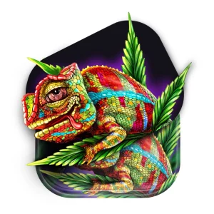 V Syndicate Cloud 9 Chameleon Roll n Go Set